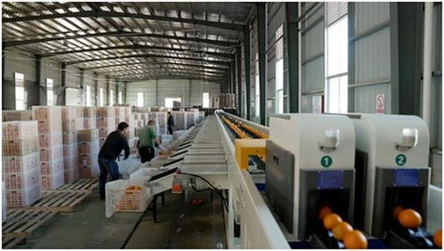 中國減貧四十年 研究報告 中國超5 就業崗位來自電商