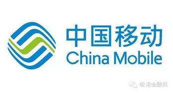 中國移動(dòng)318億重組鐵通，技術(shù)咨詢崗員工待遇成焦點(diǎn)